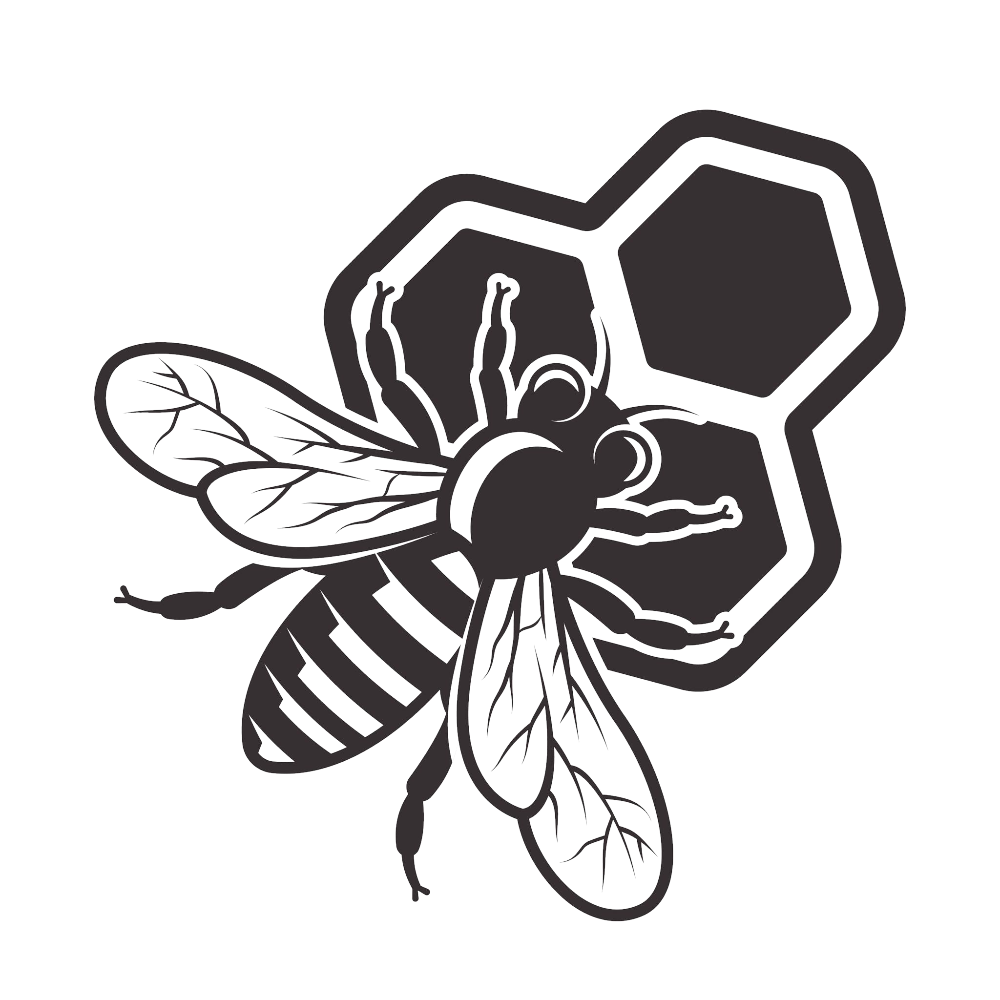 Cabarrus County Beekeepers Association circular seal with a honey bee, honeycomb, and the letters CCBA.