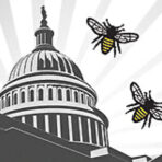 First-party DC Beekeepers Alliance header logo: honey bees beside the U.S. Capitol dome.