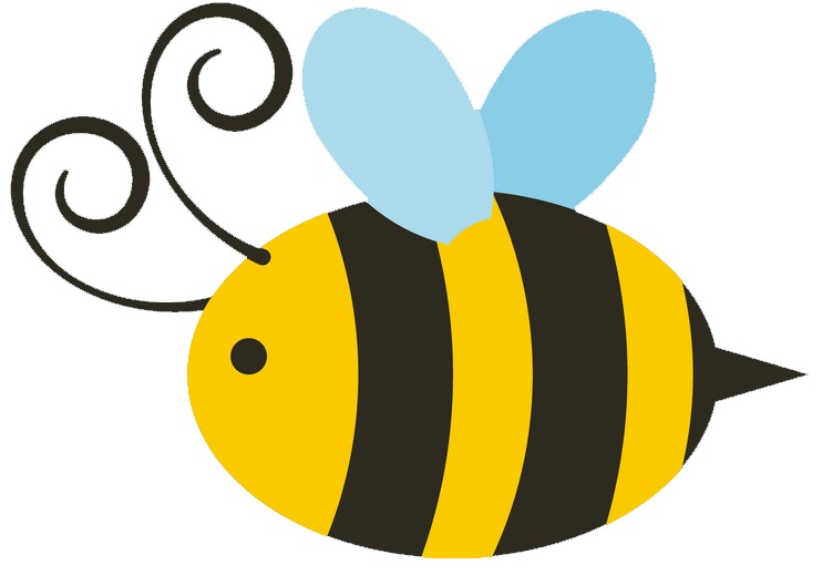Nassau County Beekeepers Association site icon: cartoon honey bee (first-party).