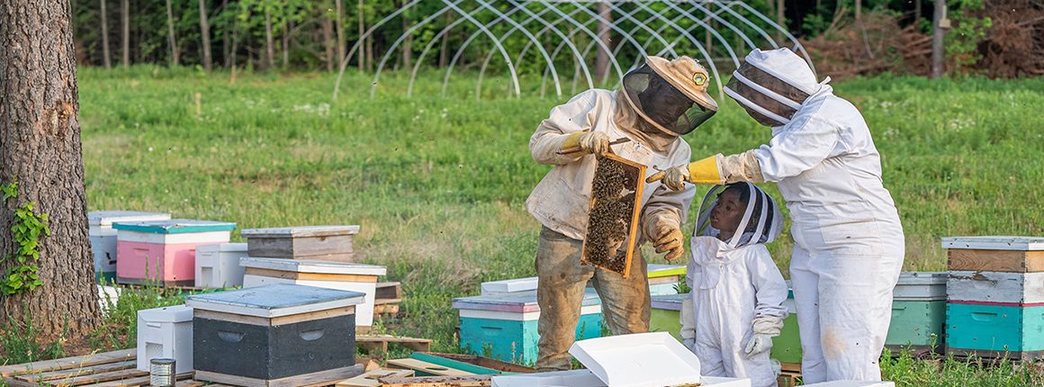 A beekeeper in a white suit and veil inspects a frame of comb covered with honey bees, from the Rutgers Bee-ginner’s Beekeeping course header.