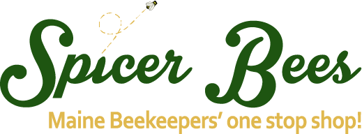 First-party Spicer Bees logo: the name in green script with a small bee on a dotted flight path and the line Maine Beekeepers’ one stop shop!