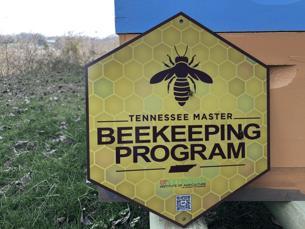 A white hive box in a green field bears a wooden sign reading Tennessee Master Beekeeping Program, UT Extension, from the University of Tennessee program page.